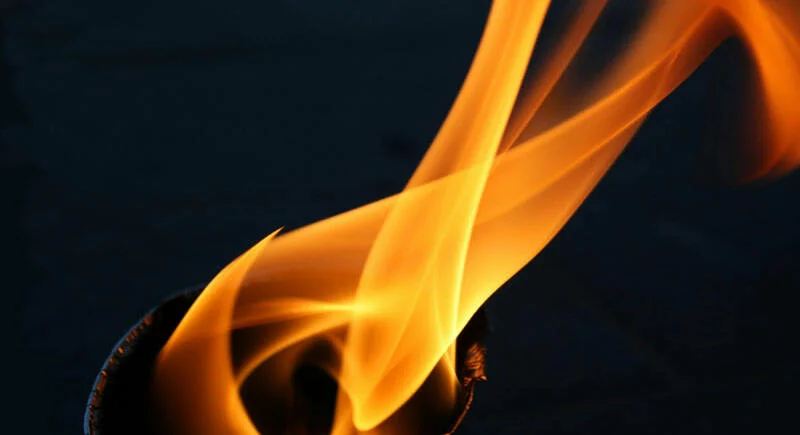 Bedrag Vi ses i morgen Lee Fan into flame the gift of God | Carl F. H. Henry Center for Theological  Understanding
