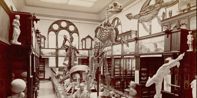 The E. M. Museum of Science at Princeton College, 1886
